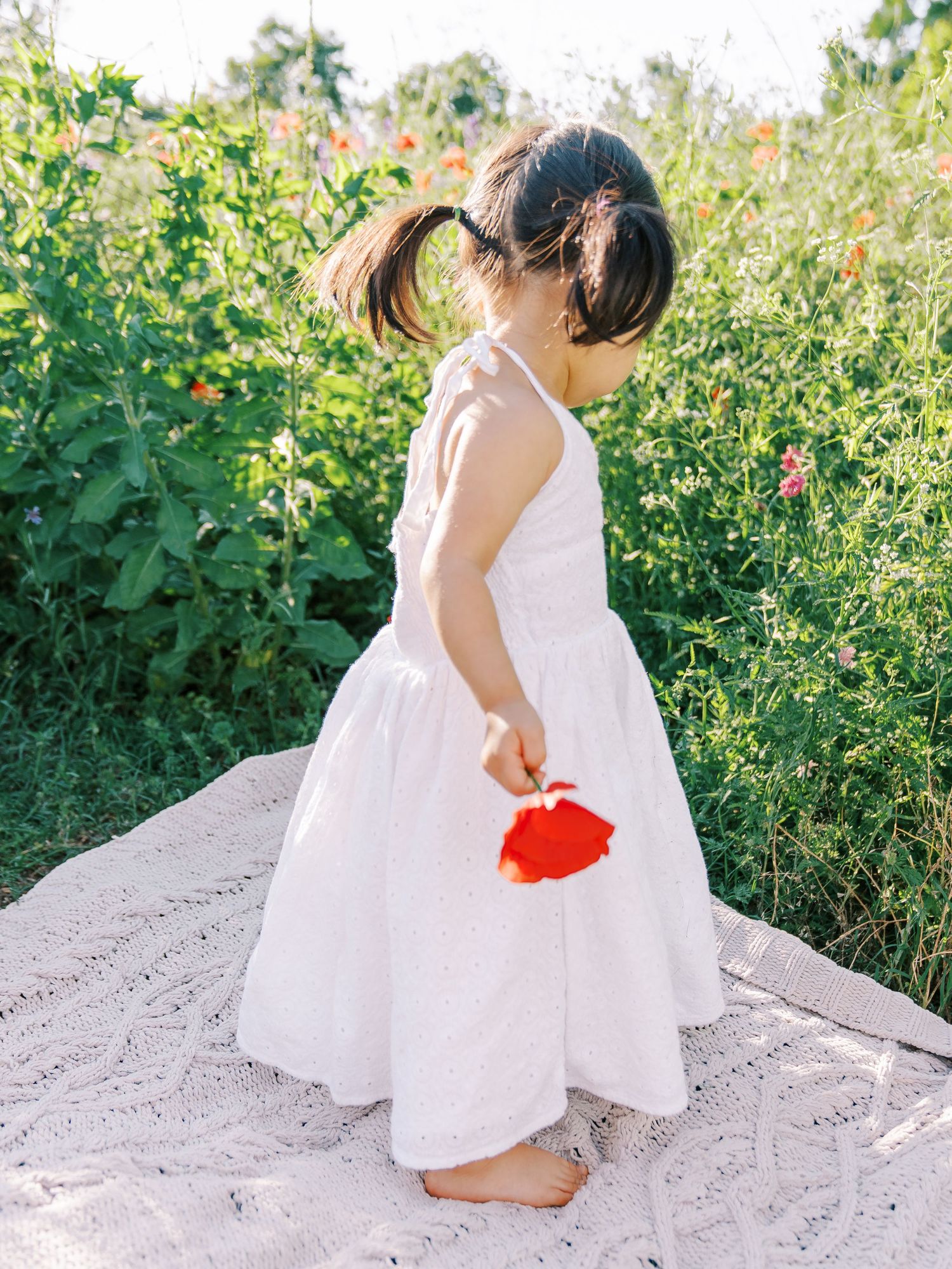 A child in a white dress sits on a sandy path surrounded by lush greenery and wildflowers on a sunny day.