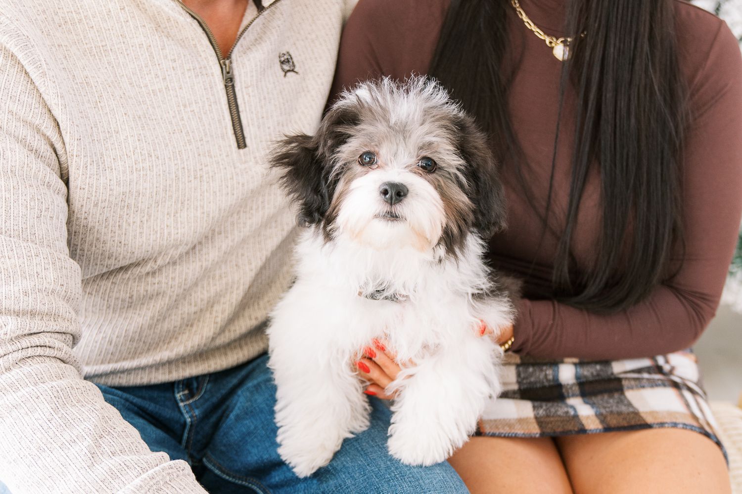 A fluffy white and gray puppy sits on the lap of a couple, held gently between them in a cozy outdoor setting.