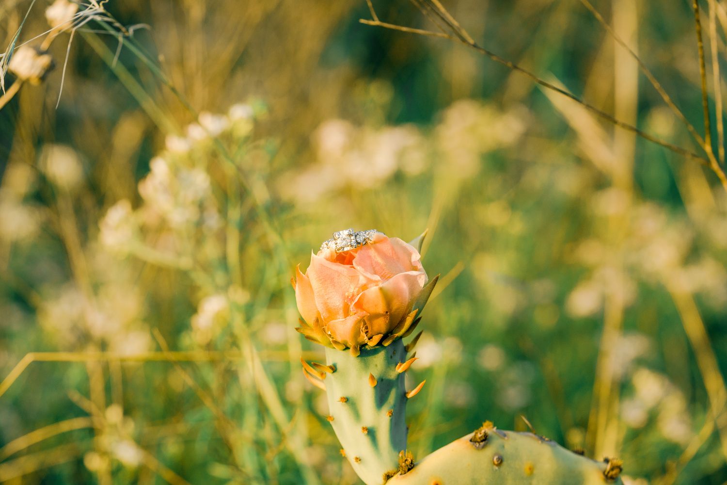 Vibrant orange and yellow wildflowers bloom in a lush green meadow on a sunny summer day.