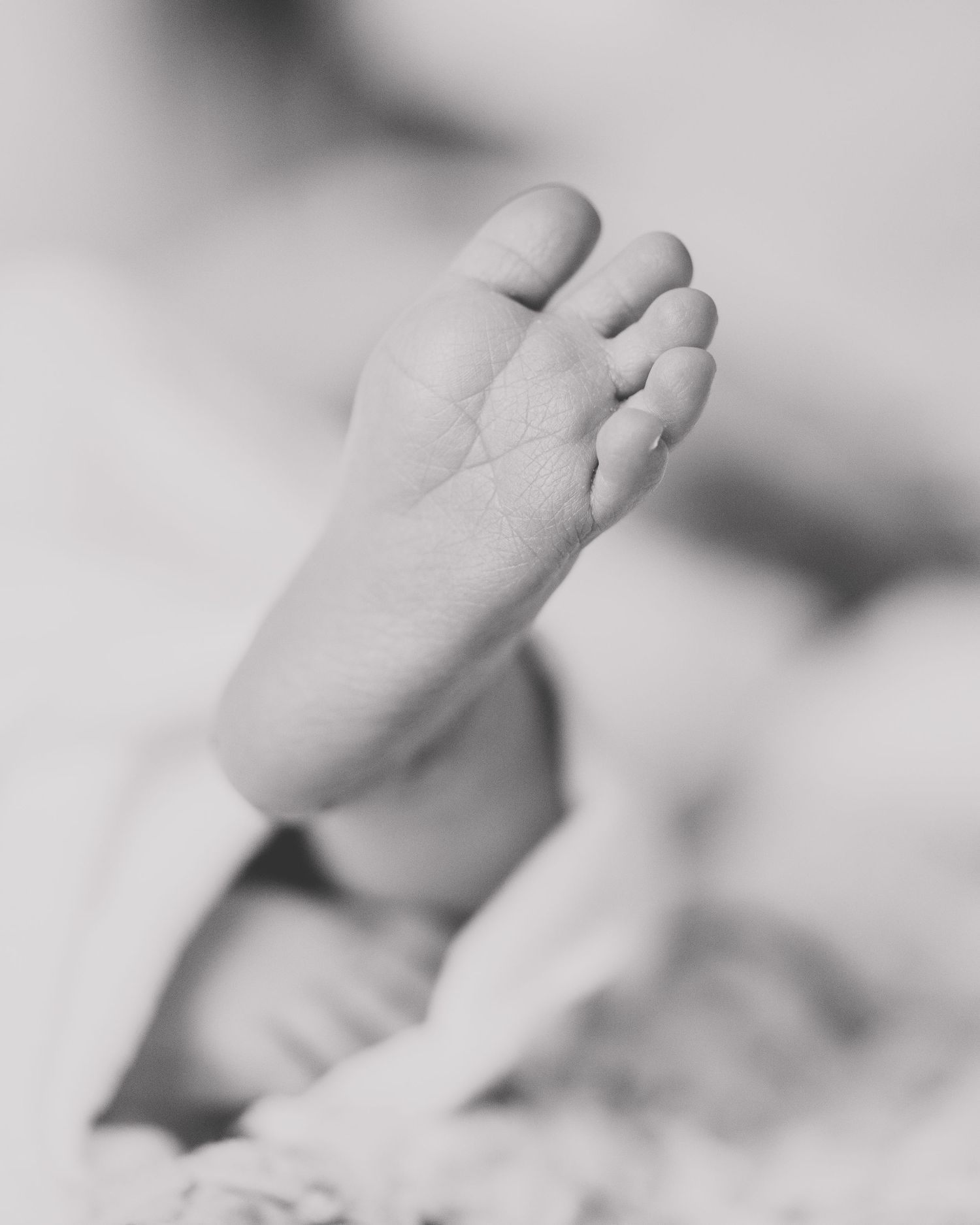 Close-up black and white photo of tiny newborn feet.