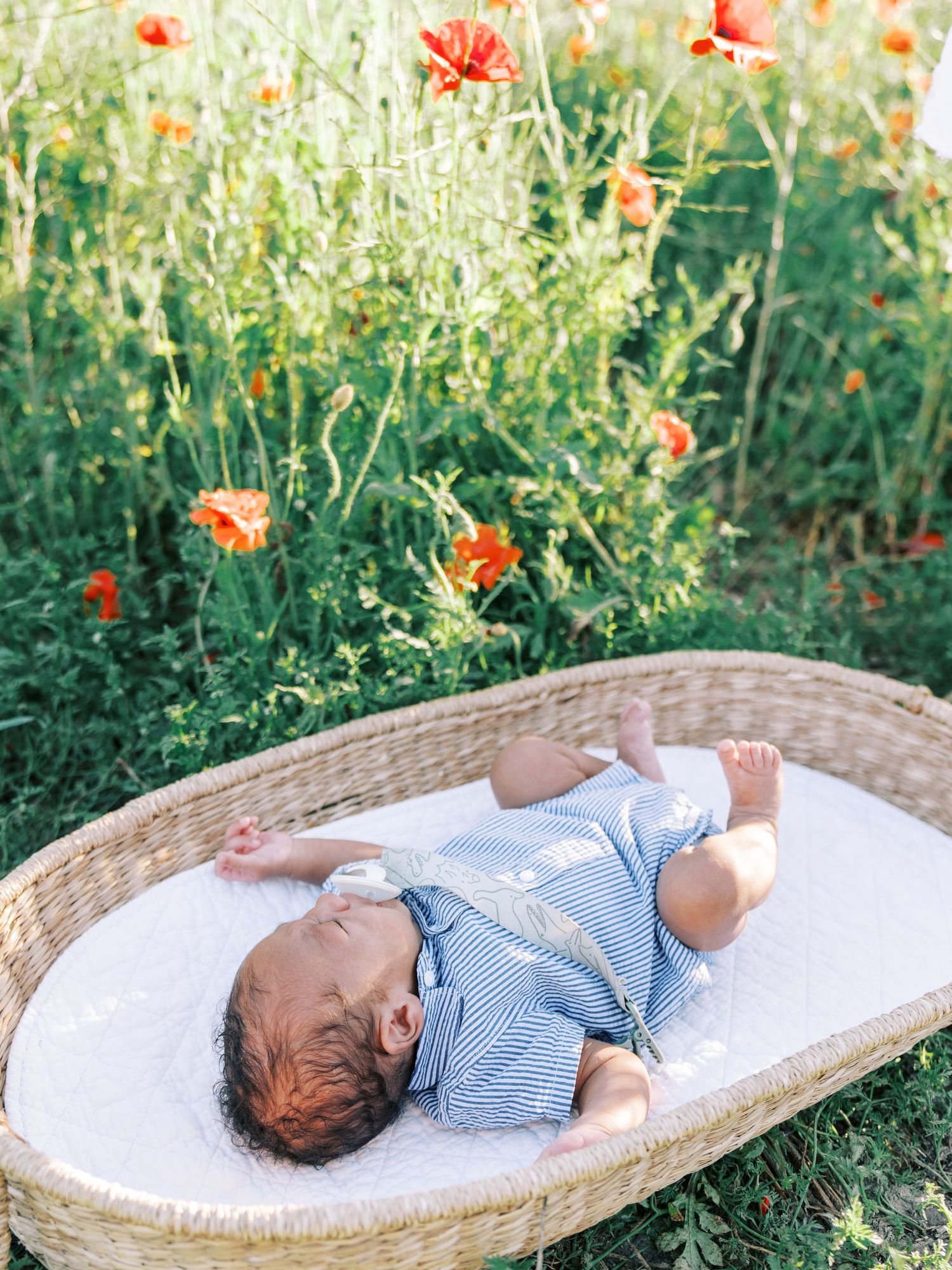 Baby sleeping peacefully on a woven basket outdoors surrounded by red poppies and green grass in natural light.
