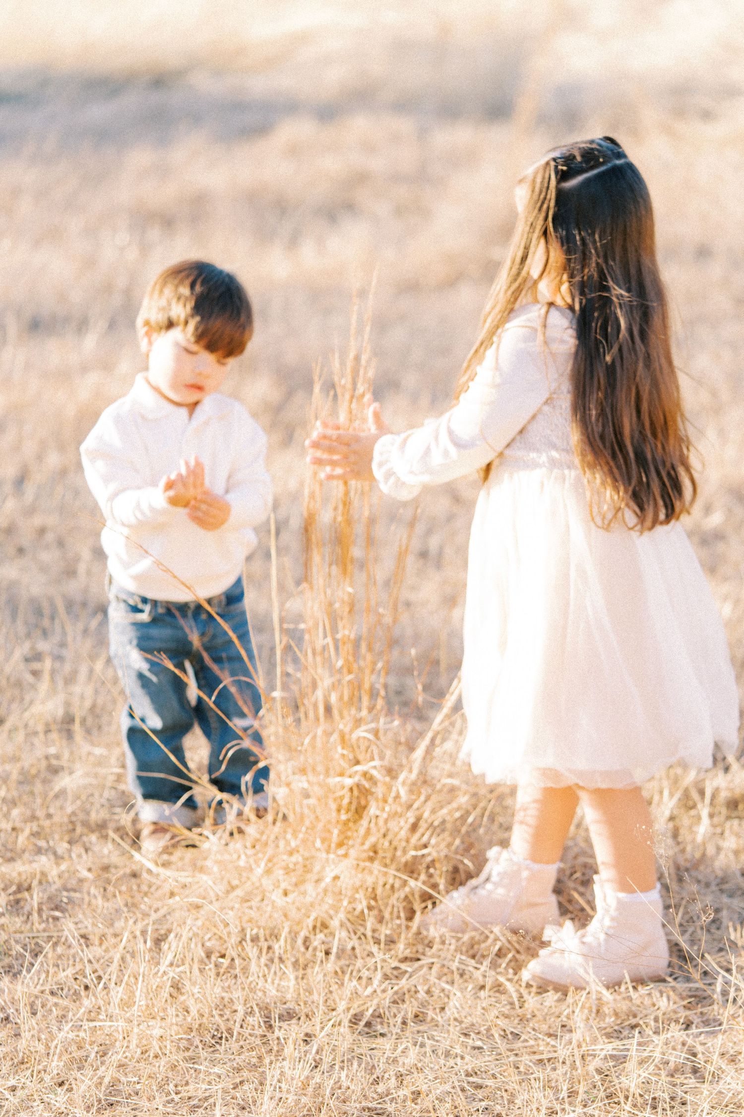Two children in white outfits explore a sunlit field of tall golden grass on a warm afternoon.