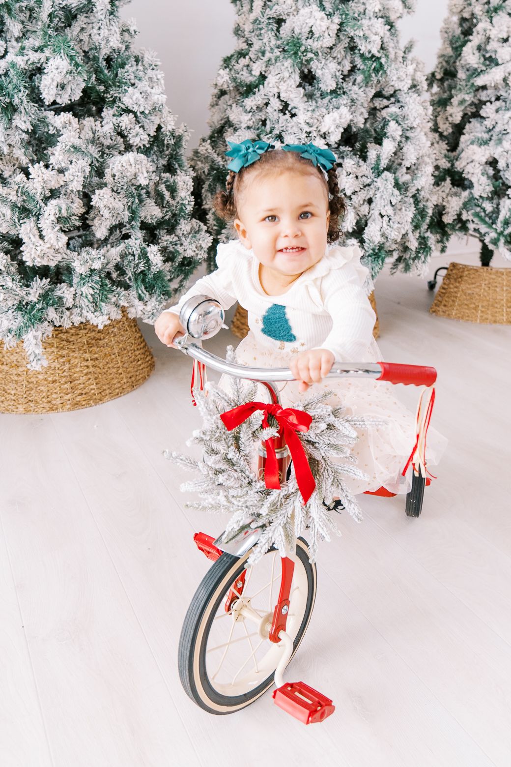 A small tricycle with a red bow sits in front of snow-covered Christmas trees against a white backdrop.