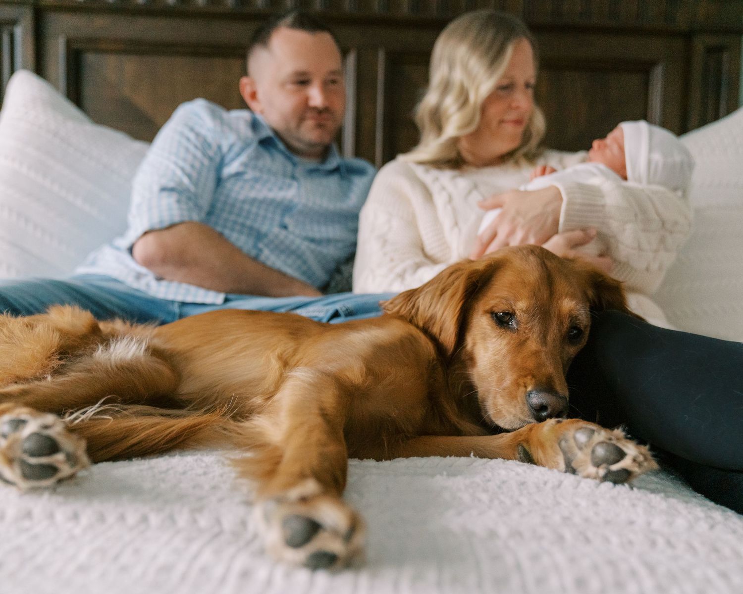 A golden retriever dog rests on a couch while people sit with a baby in a cozy living room setting.
