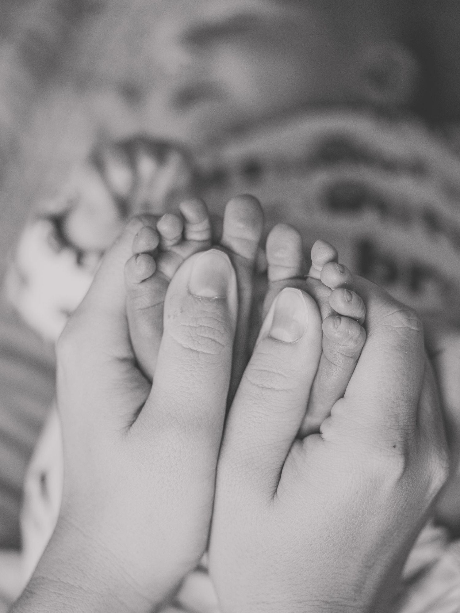 Black and white photo of an adult hand gently cradling tiny newborn baby feet, symbolizing love and new life.