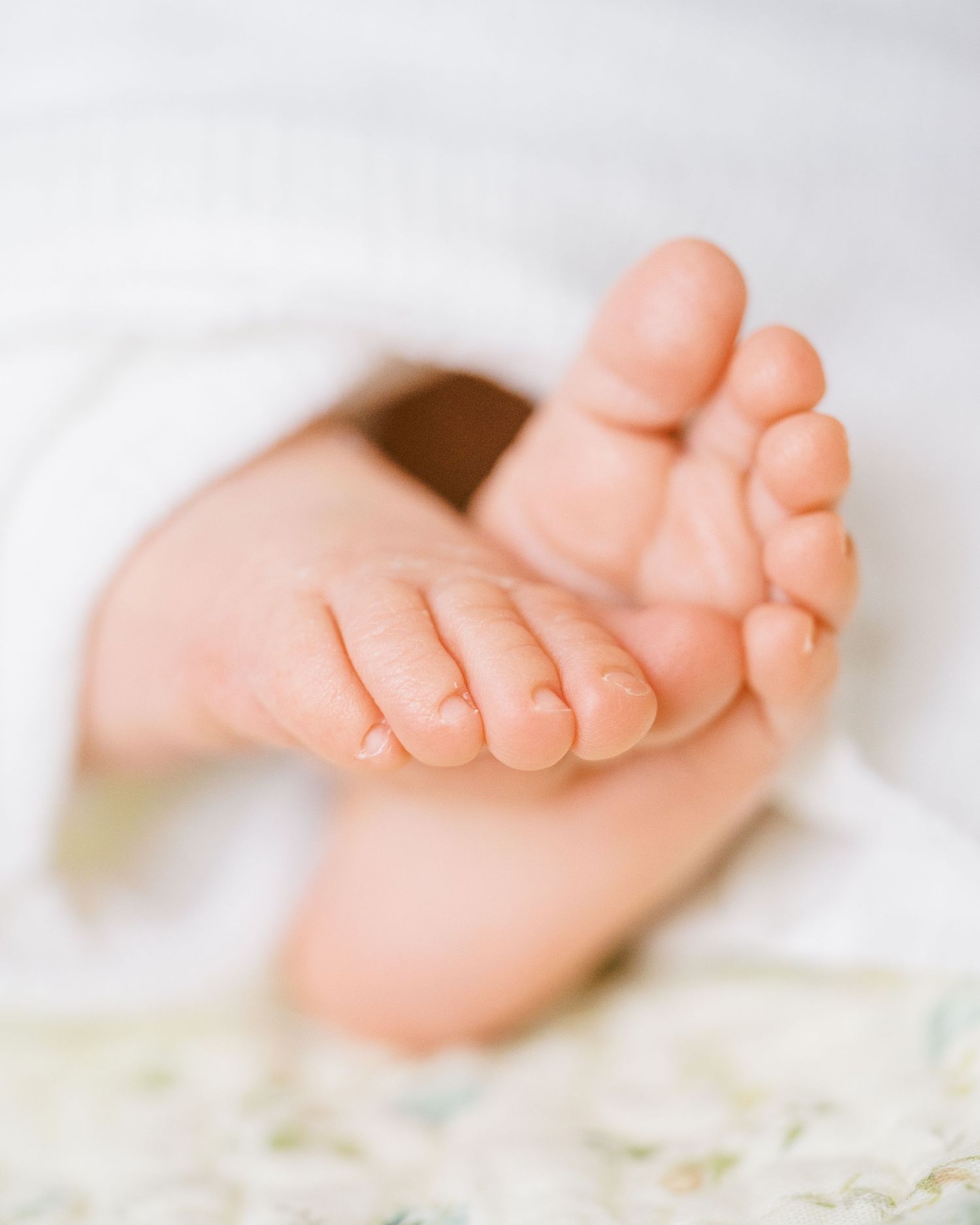 Delicate newborn baby feet against white lace background.