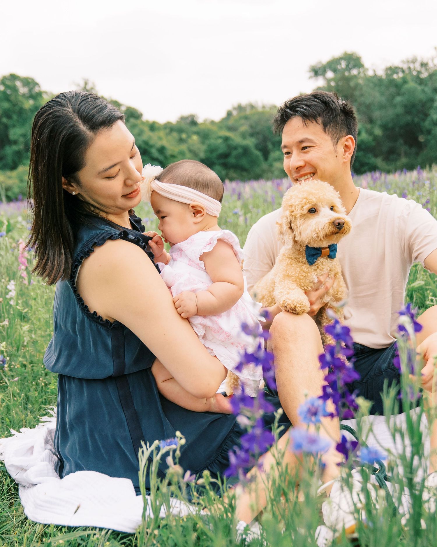 A family sits in a purple flower field, with a woman holding a baby girl and a man holding a fluffy dog wearing a bow tie.