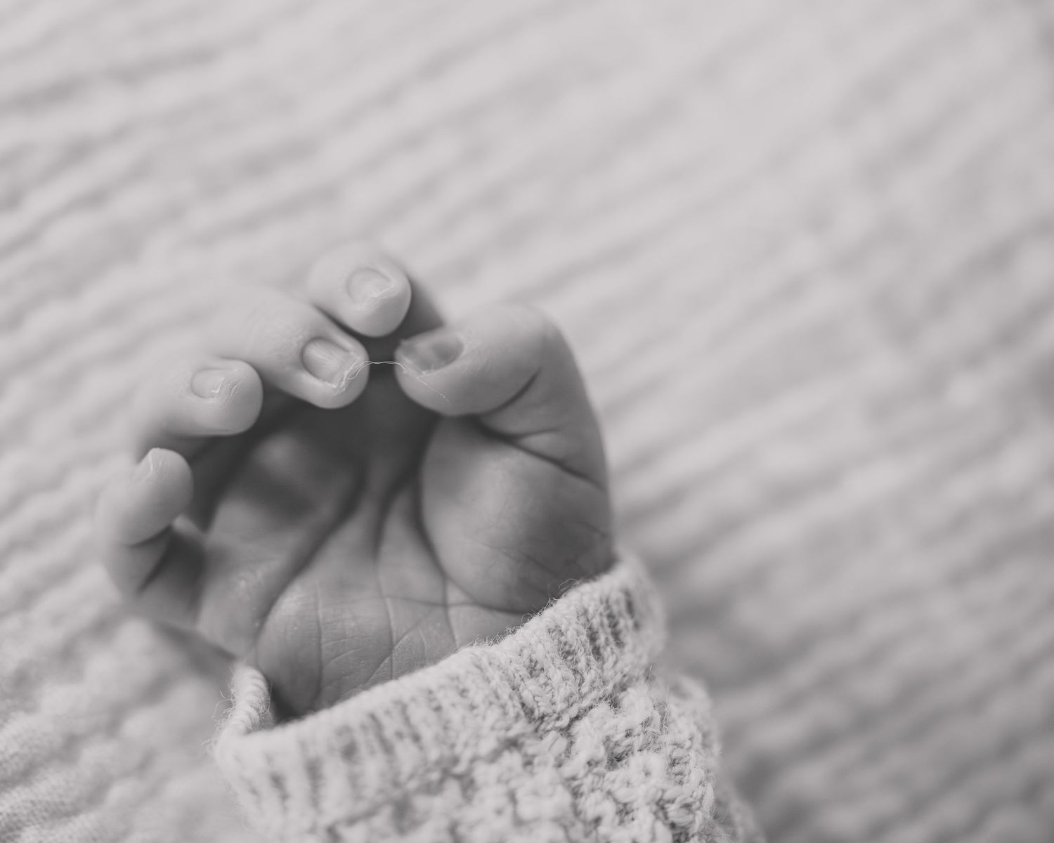 Close-up black and white photo of a newborn baby's tiny hand with delicate fingers resting on a soft knit blanket.