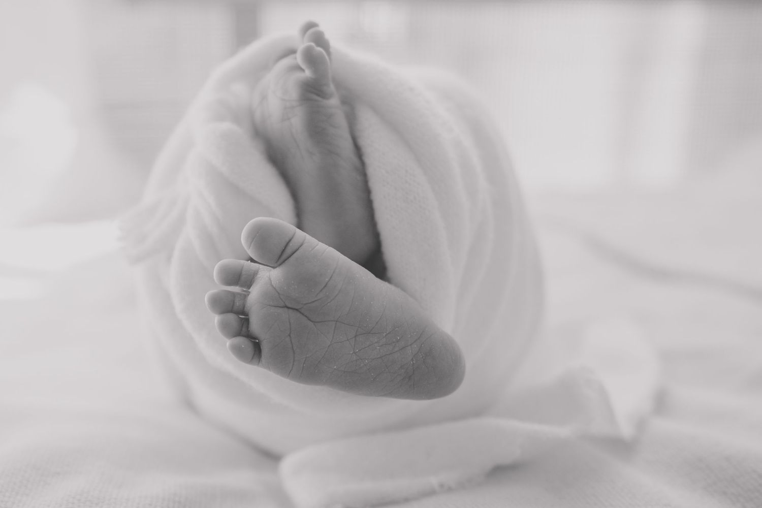 Close-up of tiny newborn baby feet wrapped in soft white blankets in natural light.