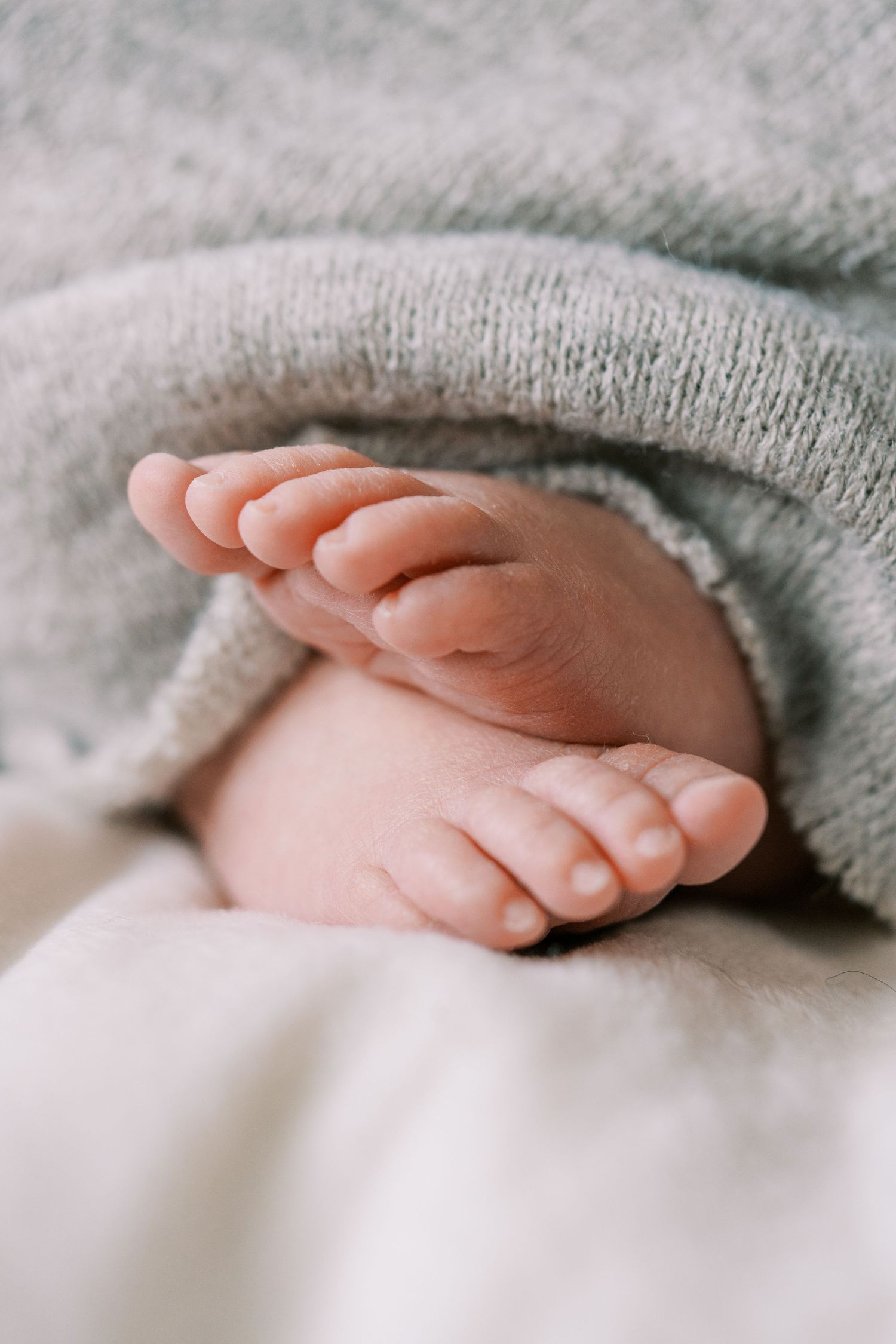 Close-up of tiny baby feet wrapped in a soft gray blanket.