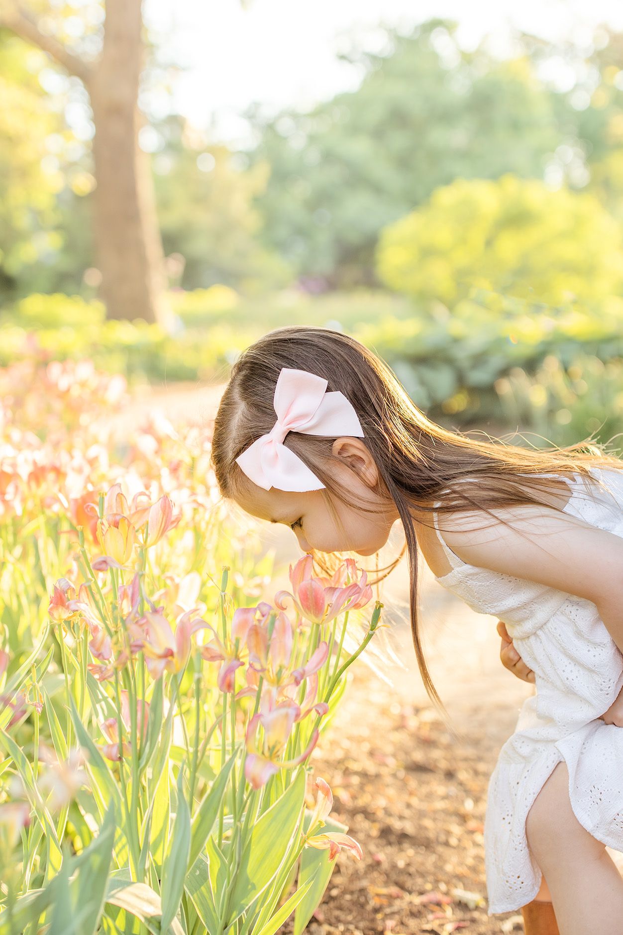 Young girl in white dress and pink bow smells tulips in sunny garden.