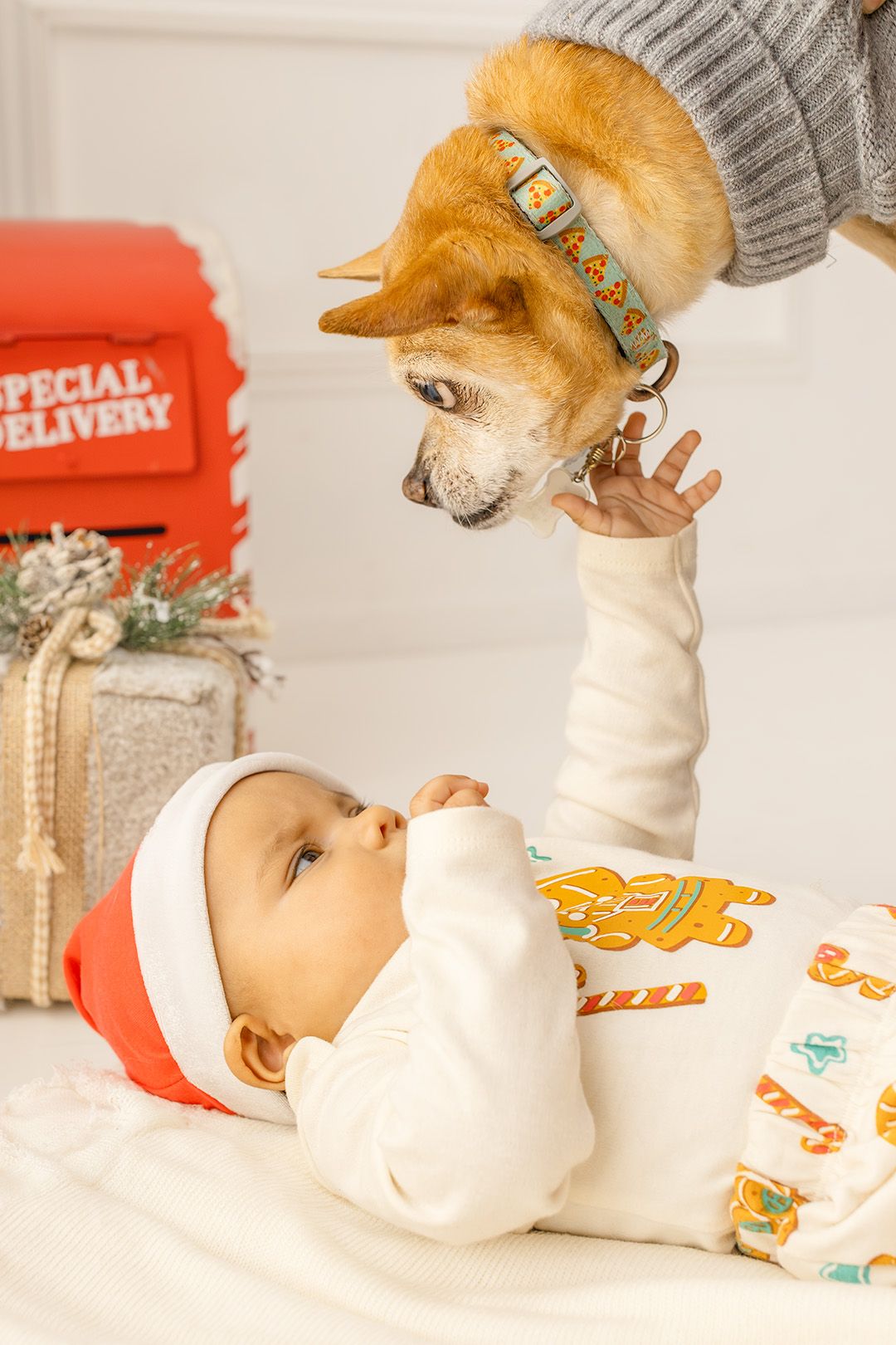 A small dog wearing a gray knit hat plays with a baby on a white background with red signage visible.