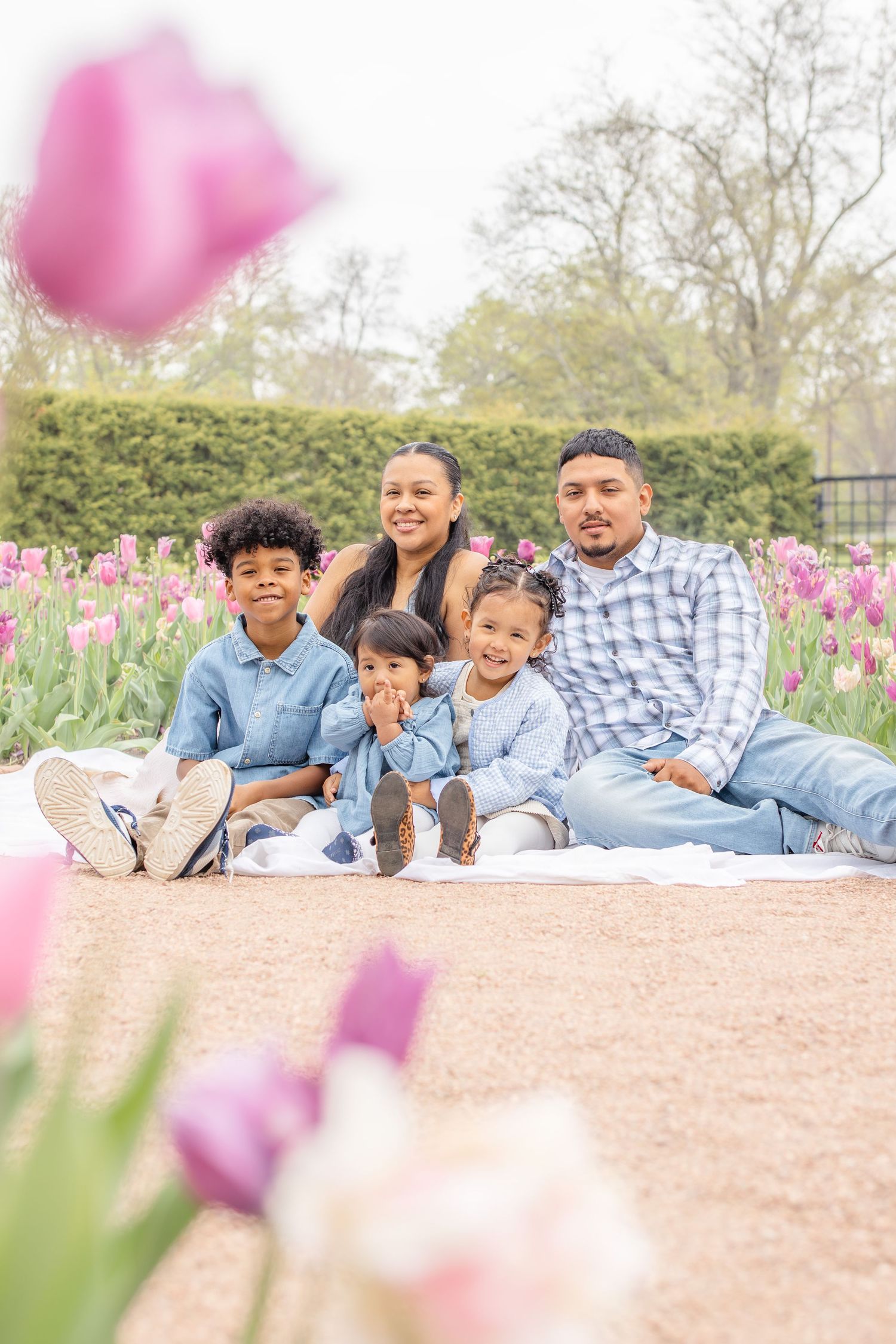 Family of five posing among pink tulips in a garden, smiling together on a white blanket in spring.