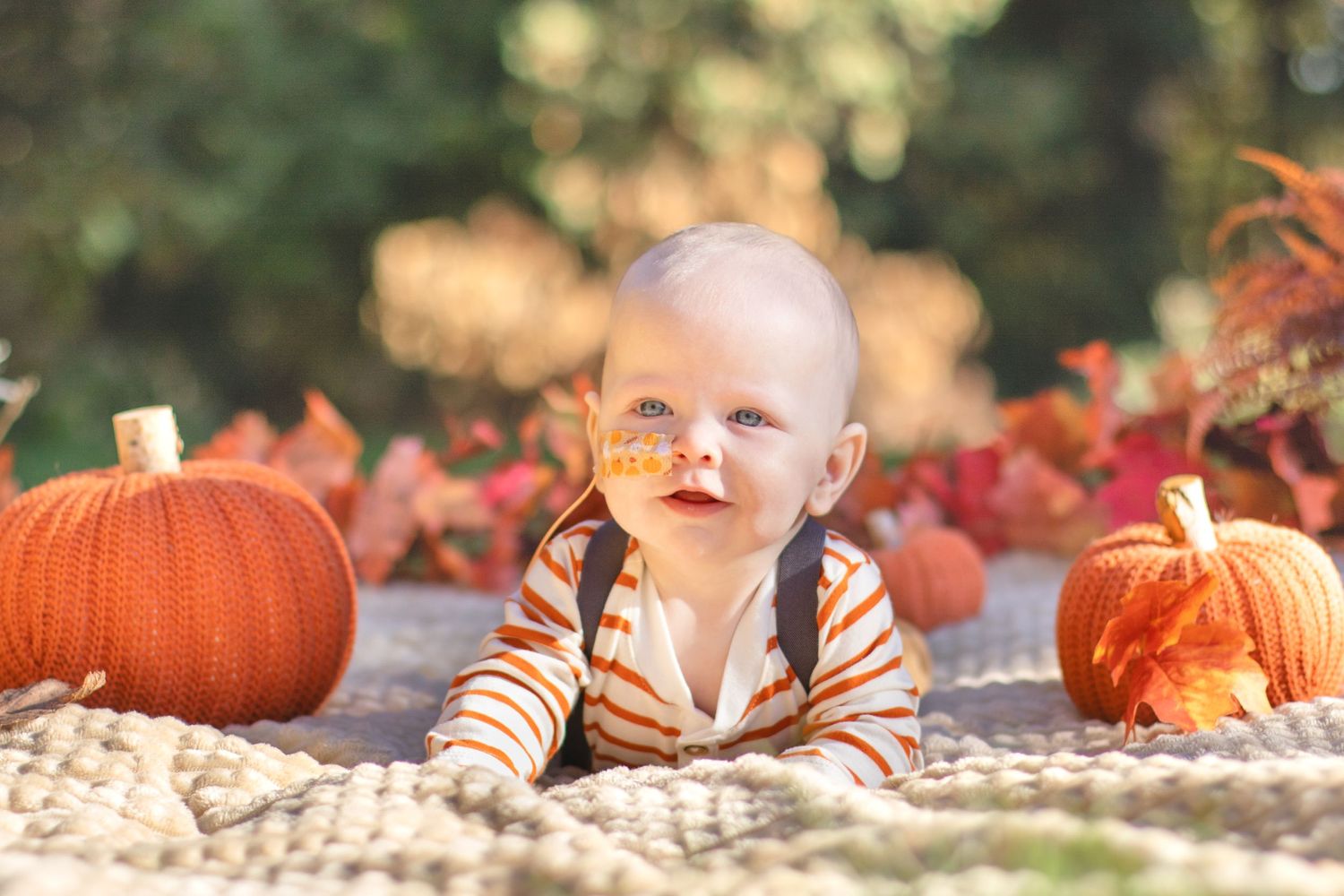 Baby lying on blanket with orange pumpkins and fall foliage in background.