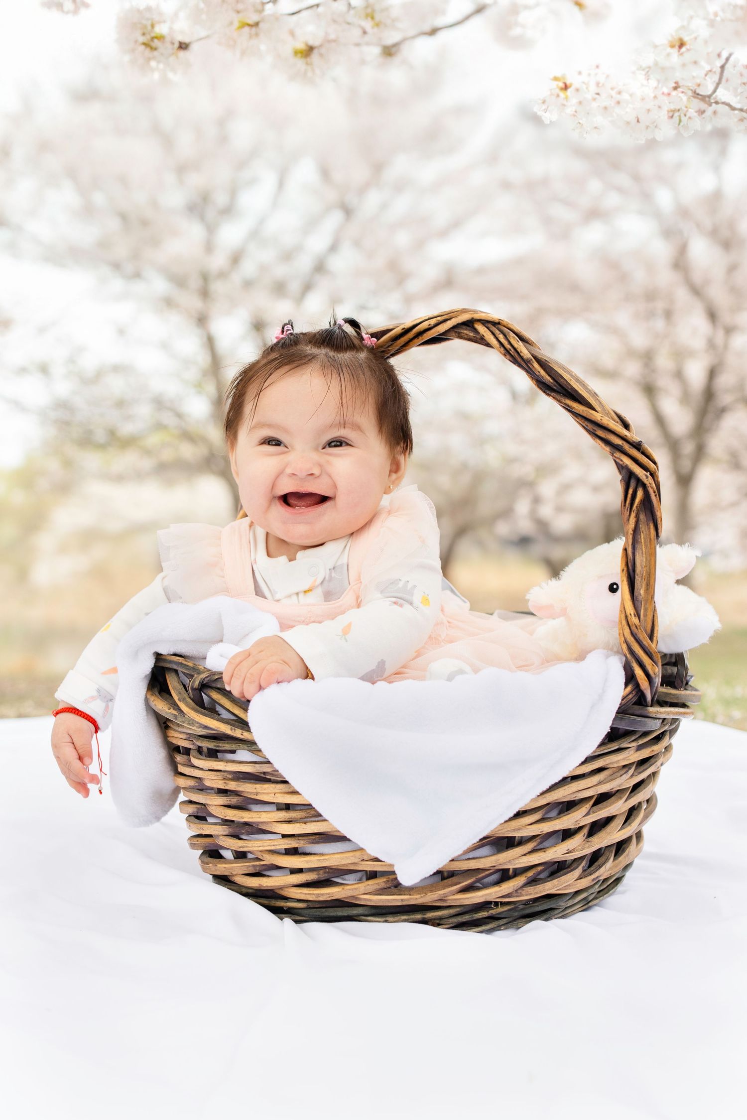 A joyful baby wearing white sits in a woven wicker basket outdoors with cherry blossoms in the background.