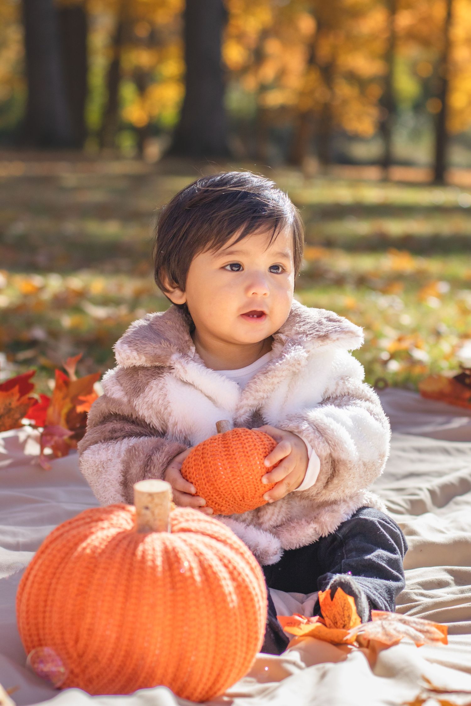 Baby in fuzzy coat sits with pumpkins during autumn photoshoot.