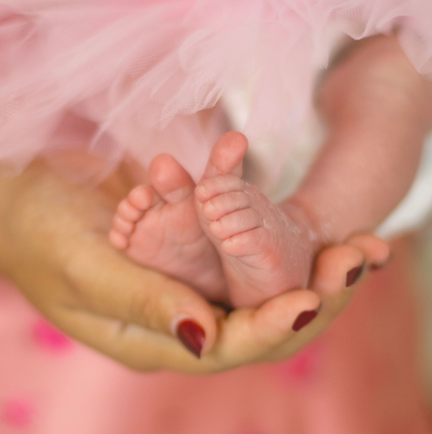 Tiny baby feet resting in hands against pink tulle background.