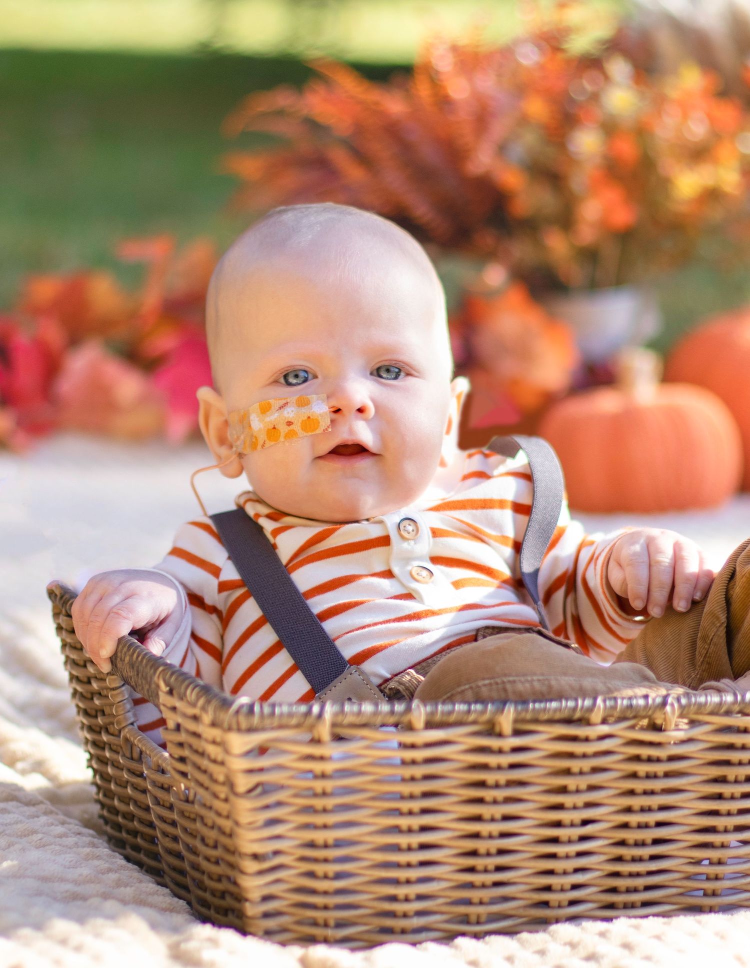 Baby in striped outfit sits in wicker basket with pumpkins and autumn leaves nearby.