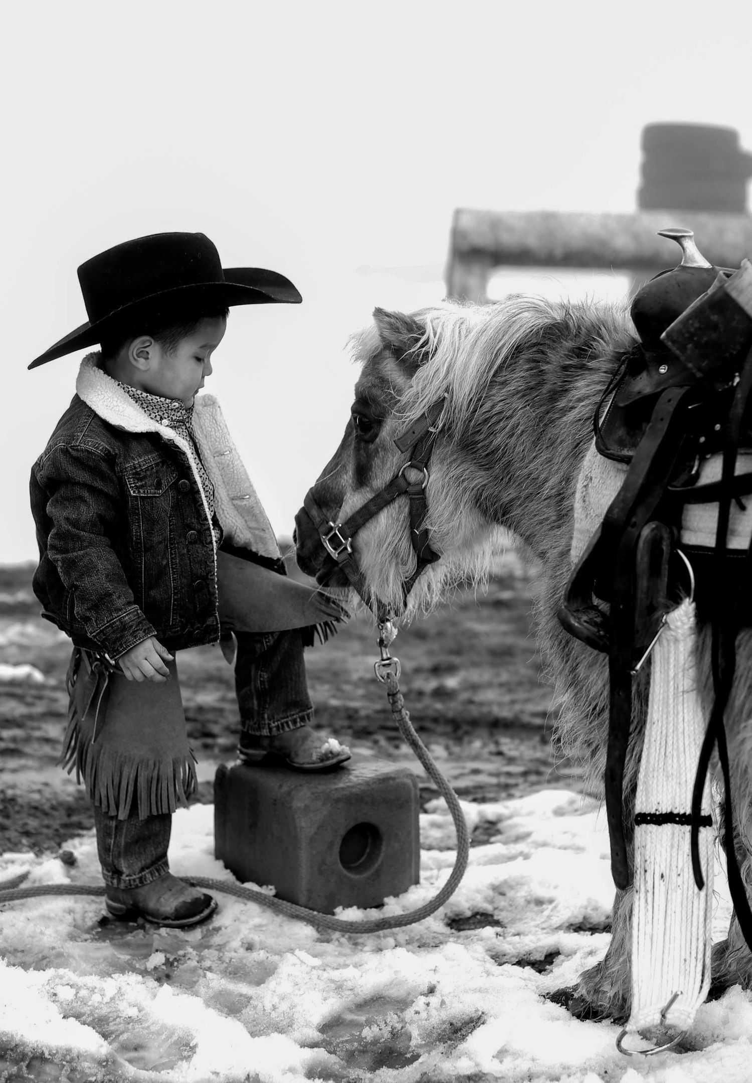 Vintage black and white photo of small children with western saddles in snowy conditions.