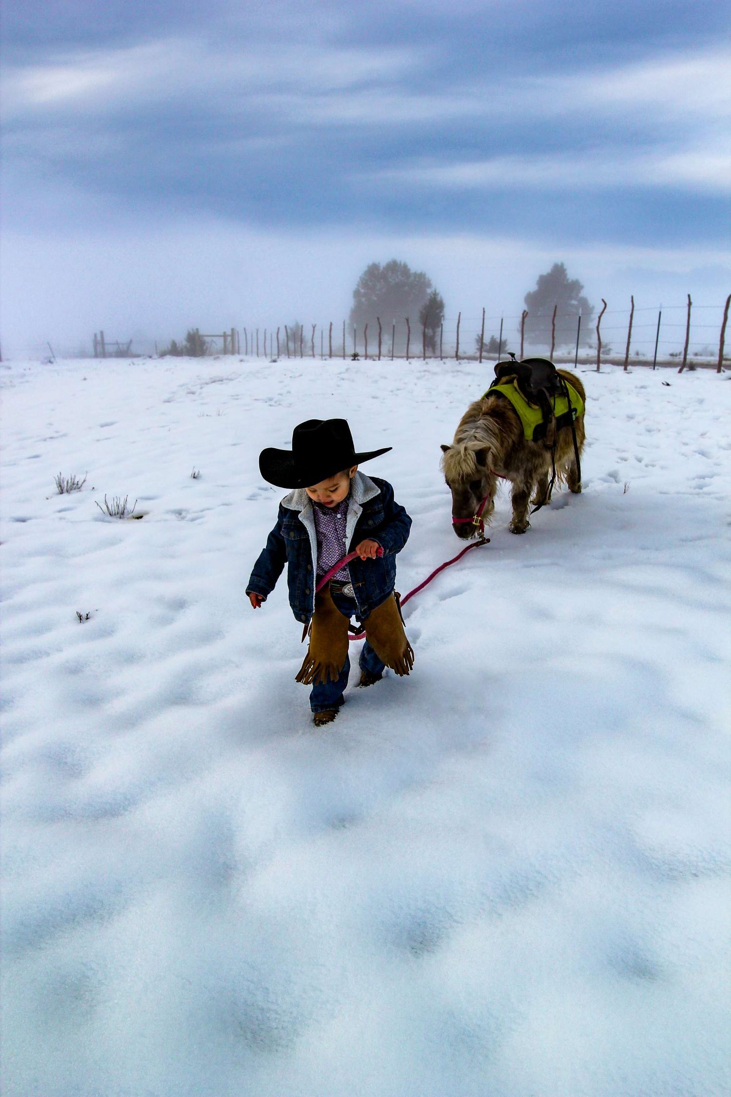 People walking through deep snow with horses following behind on a winter day.