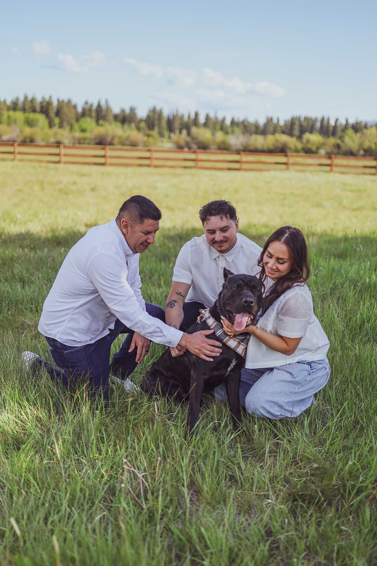 A couple and their black dog play together in a grassy field during a summer photo session.