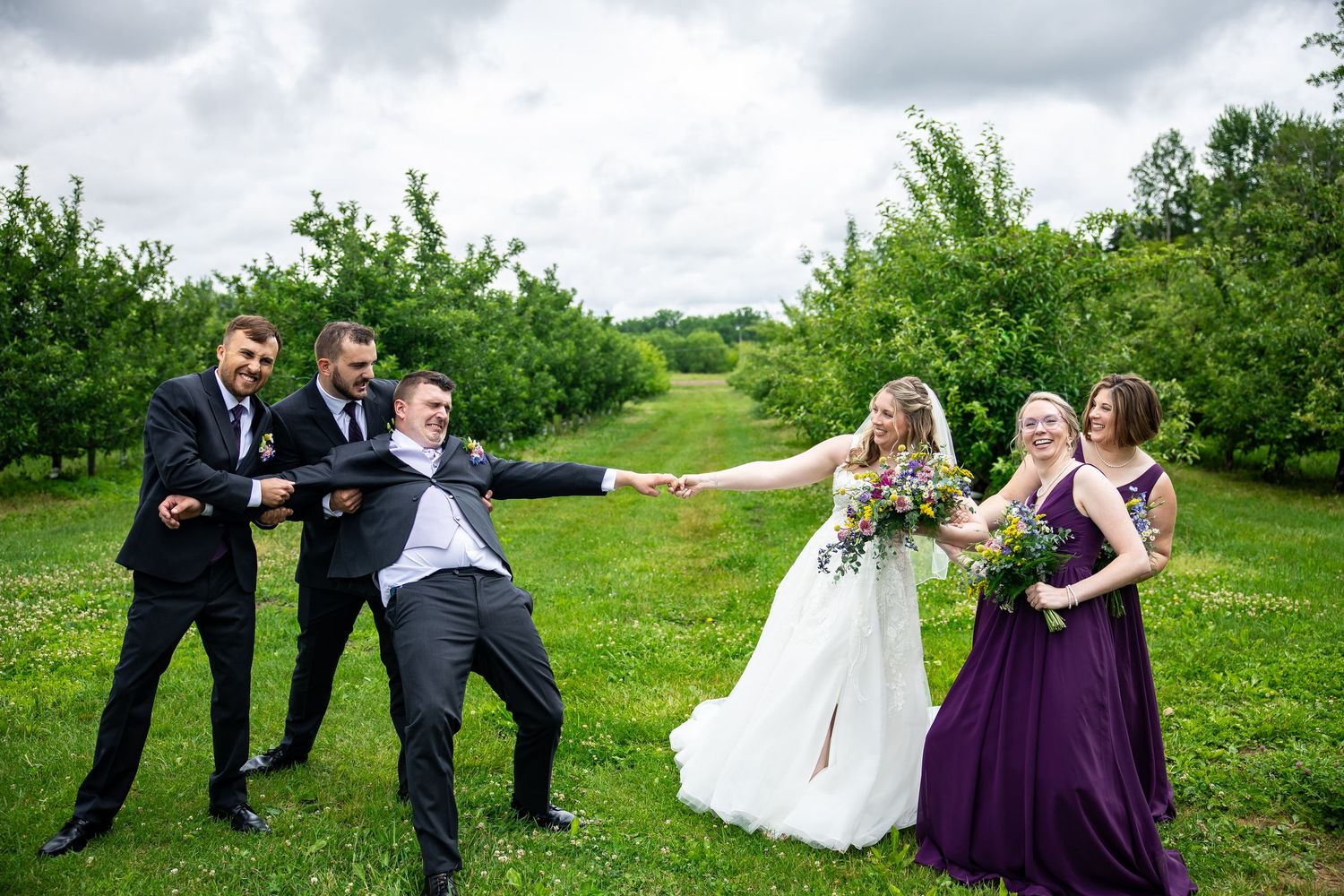 Bride and bridesmaids in purple dresses play tug-of-war with groomsmen in dark suits on a green lawn at an outdoor orchard wedding.