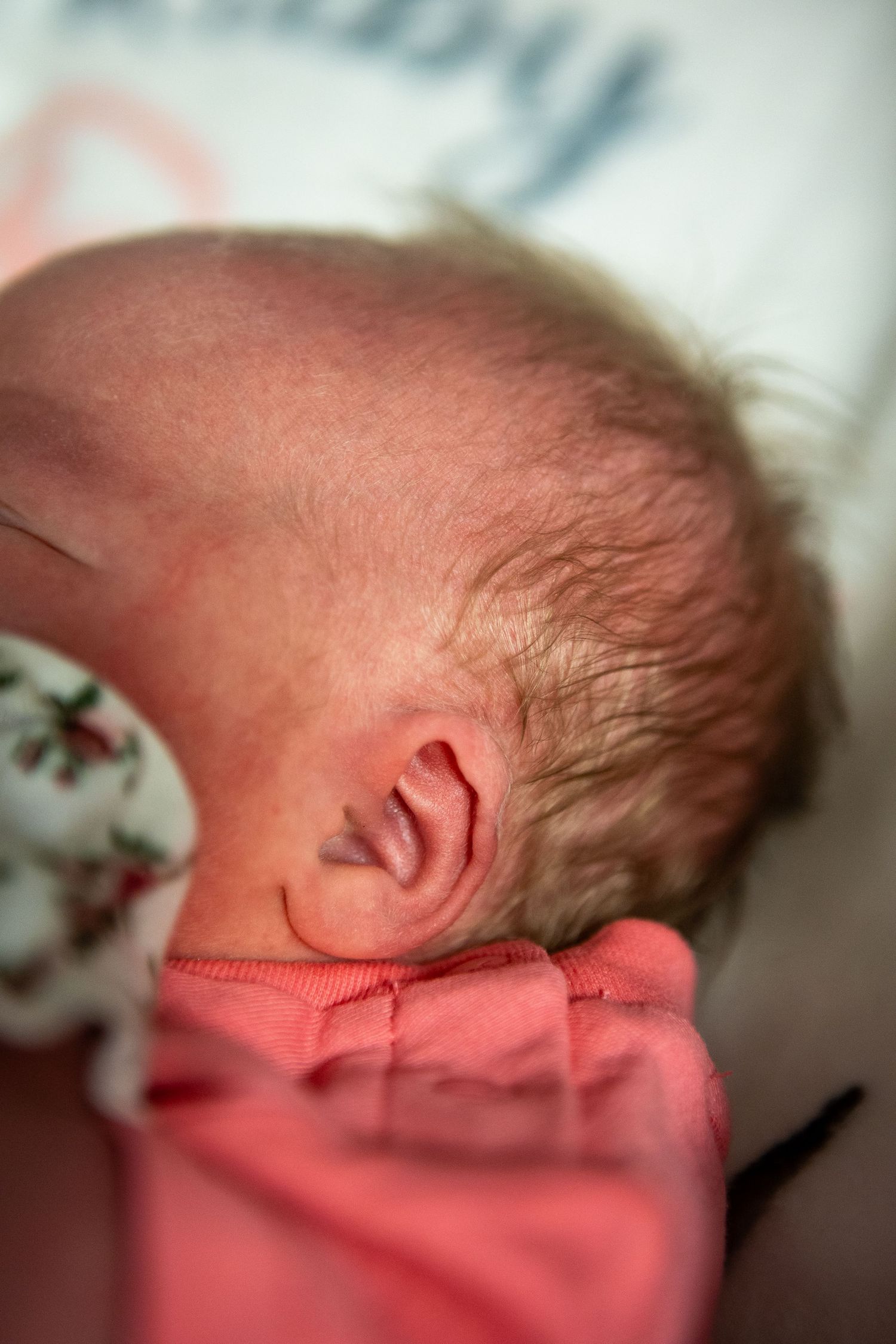 Close-up profile of sleeping newborn against coral-colored fabric background.