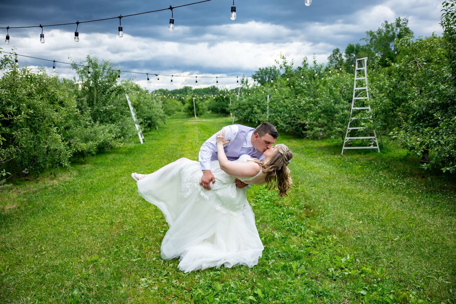 Groom dips bride in a white wedding gown on a grassy orchard lawn beneath string lights, with a wooden ladder and apple trees nearby.