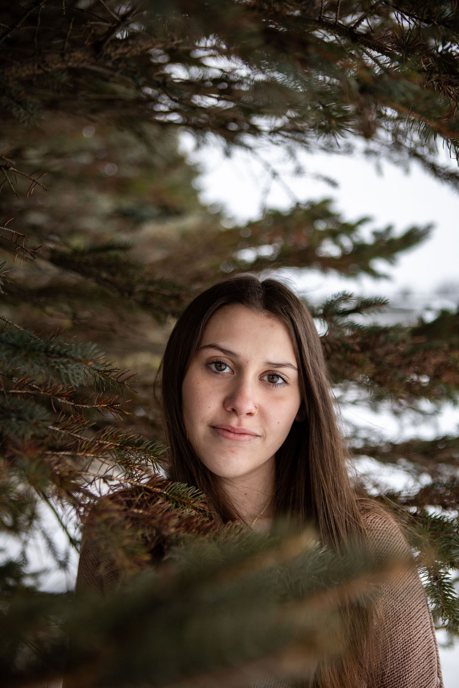 Portrait photo through evergreen branches showing a soft smile and brown hair against a light background.