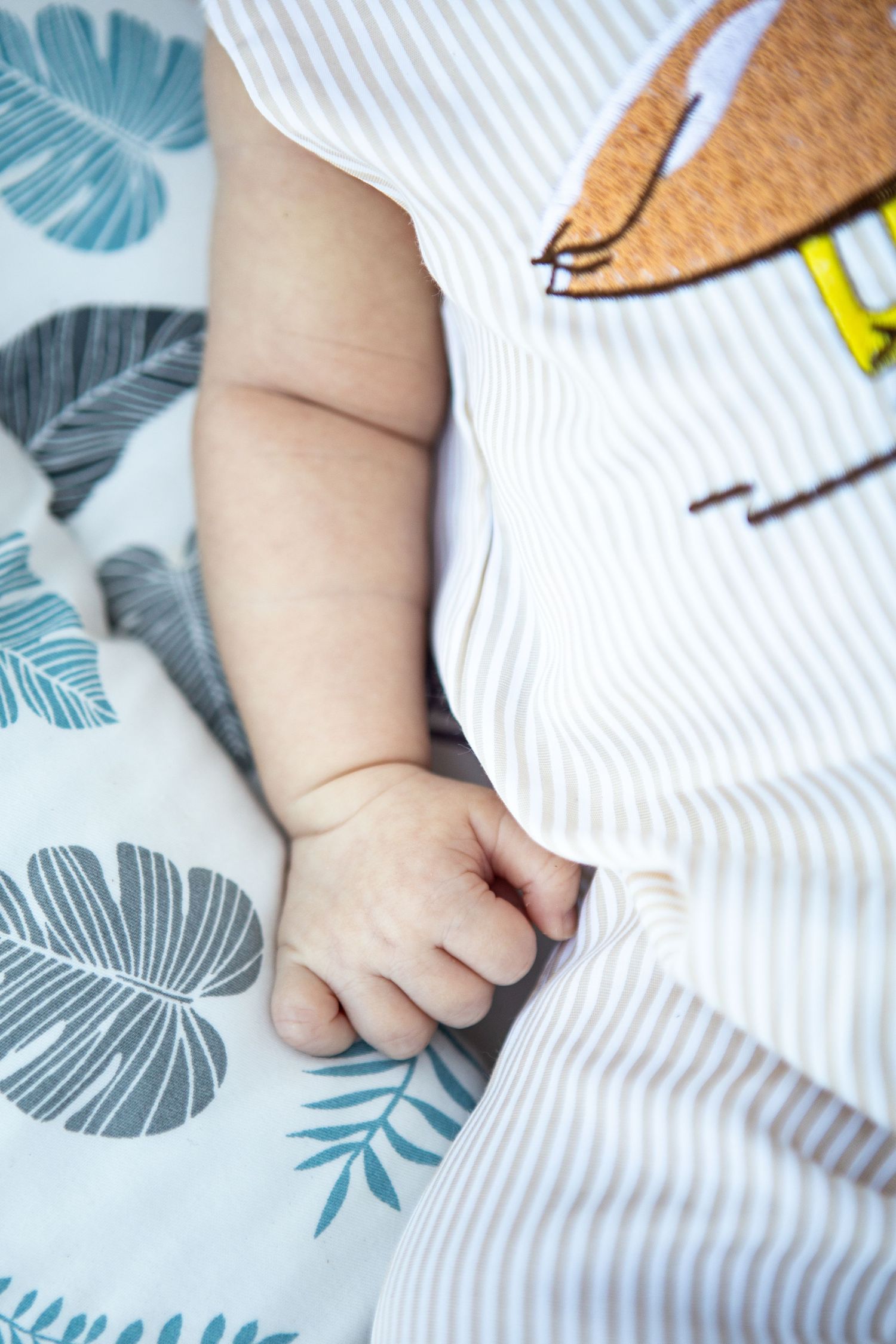 Close-up of baby hands against white and blue leaf-patterned fabric background.
