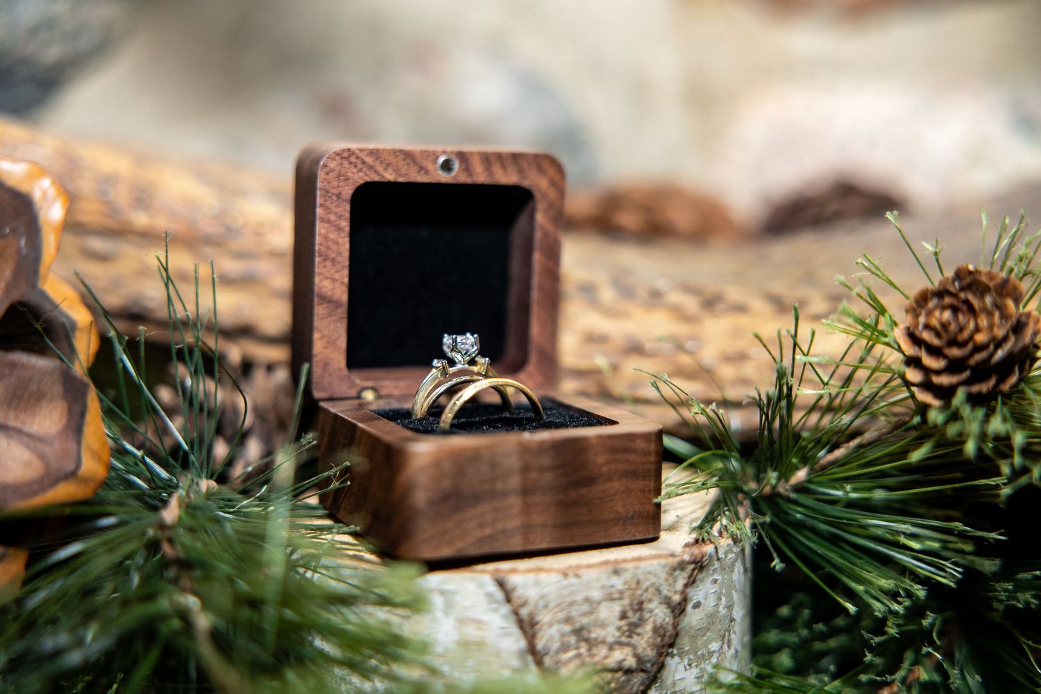 Diamond engagement ring in wooden velvet box surrounded by pine branches and pinecone on rustic log.
