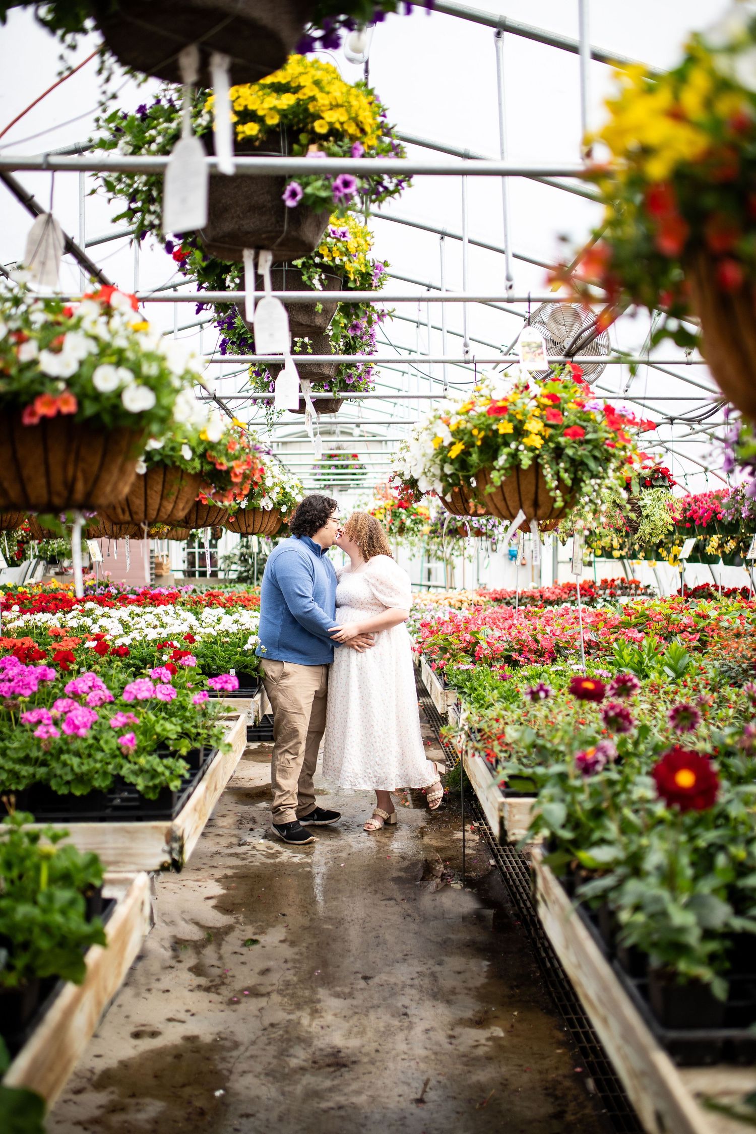 Greenhouse engagement photos surrounded by colorful hanging flower baskets and planters.