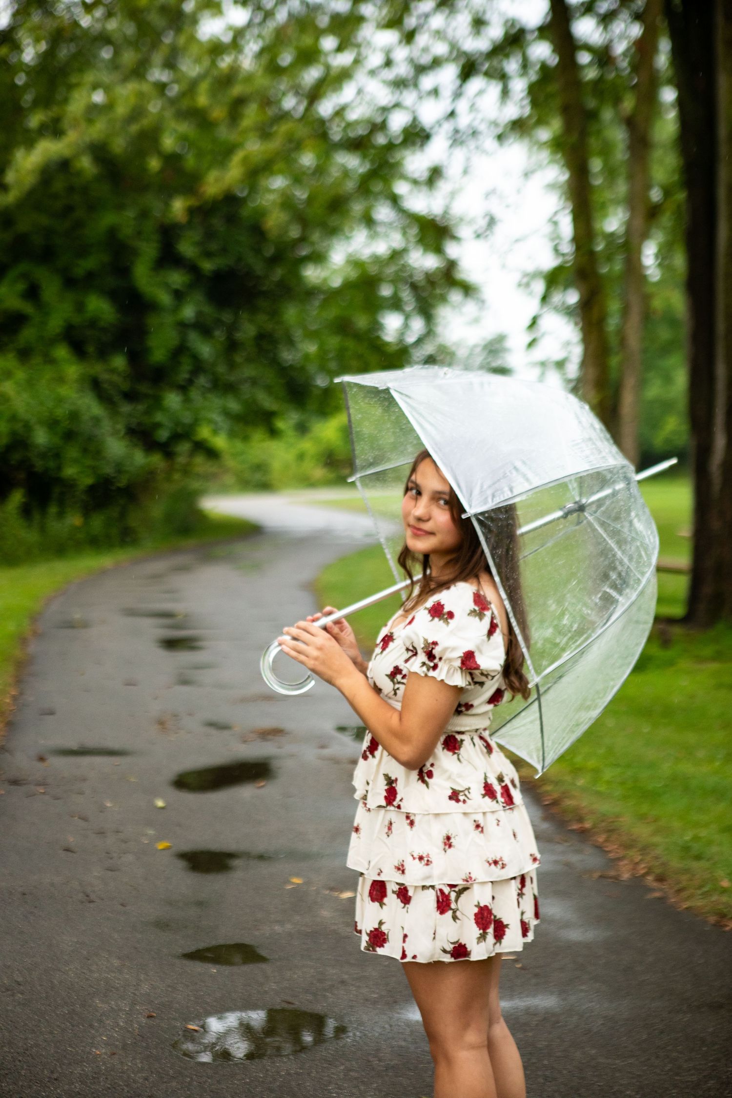 A clear umbrella provides shelter from the rain as someone walks along a wet path through lush green trees.