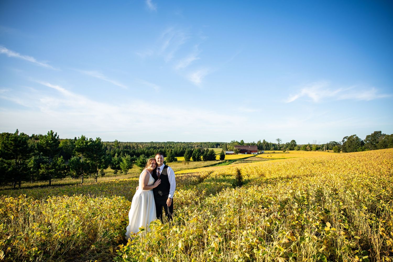 Bride and groom embrace among golden vineyard rows under a bright blue sky with wispy clouds and rolling green trees beyond.