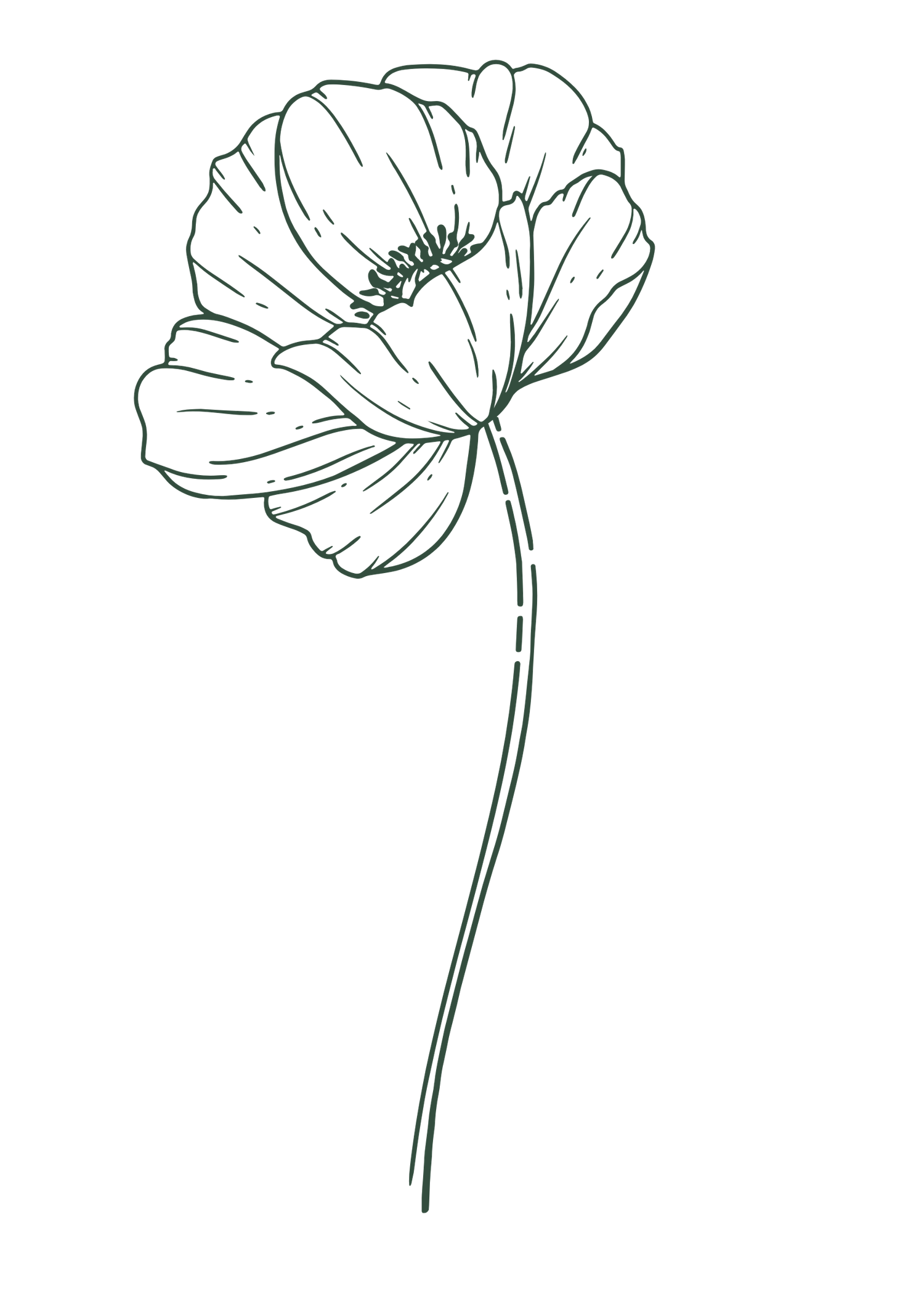 Simple line drawing of a delicate poppy flower with thin stem and large open petals in a minimalist style.