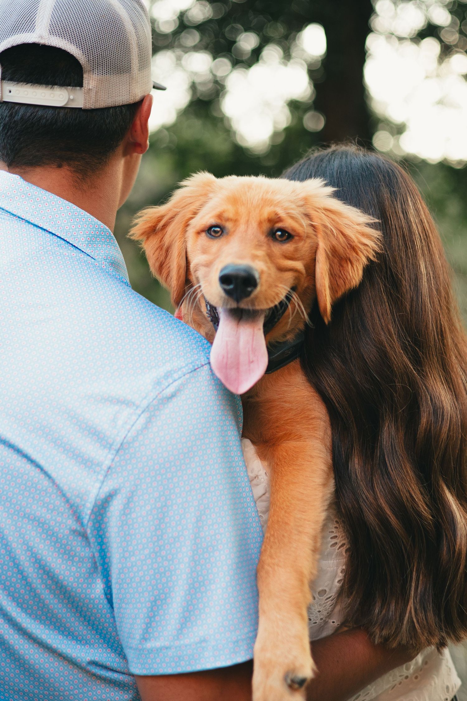 Dog Couples Photography, Great Falls, Montana