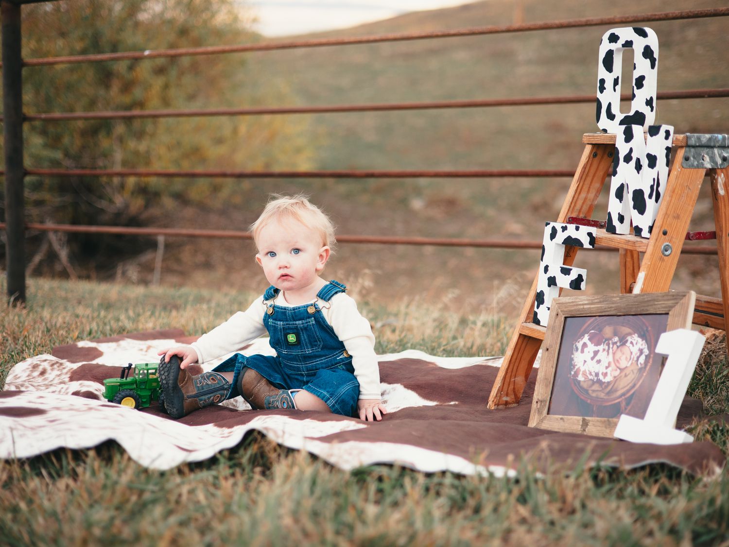 Baby in denim overalls sits on blanket outdoors near wooden ladder with cow-print number one decoration for first birthday.
