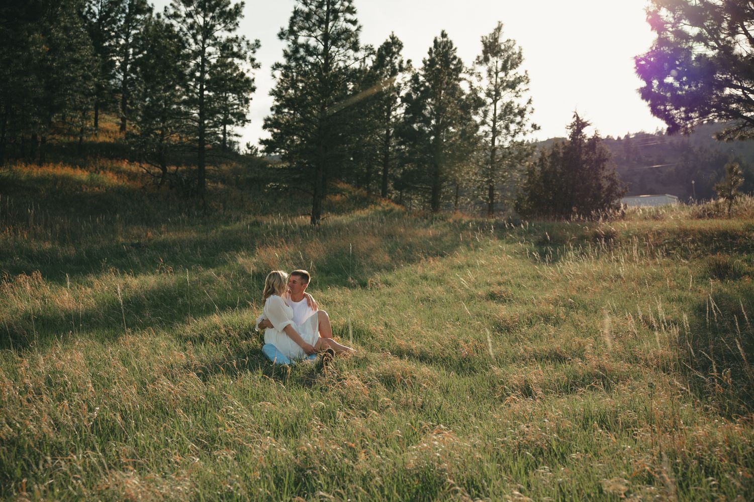 Couple sitting together in a sunlit meadow surrounded by pine trees during golden hour.