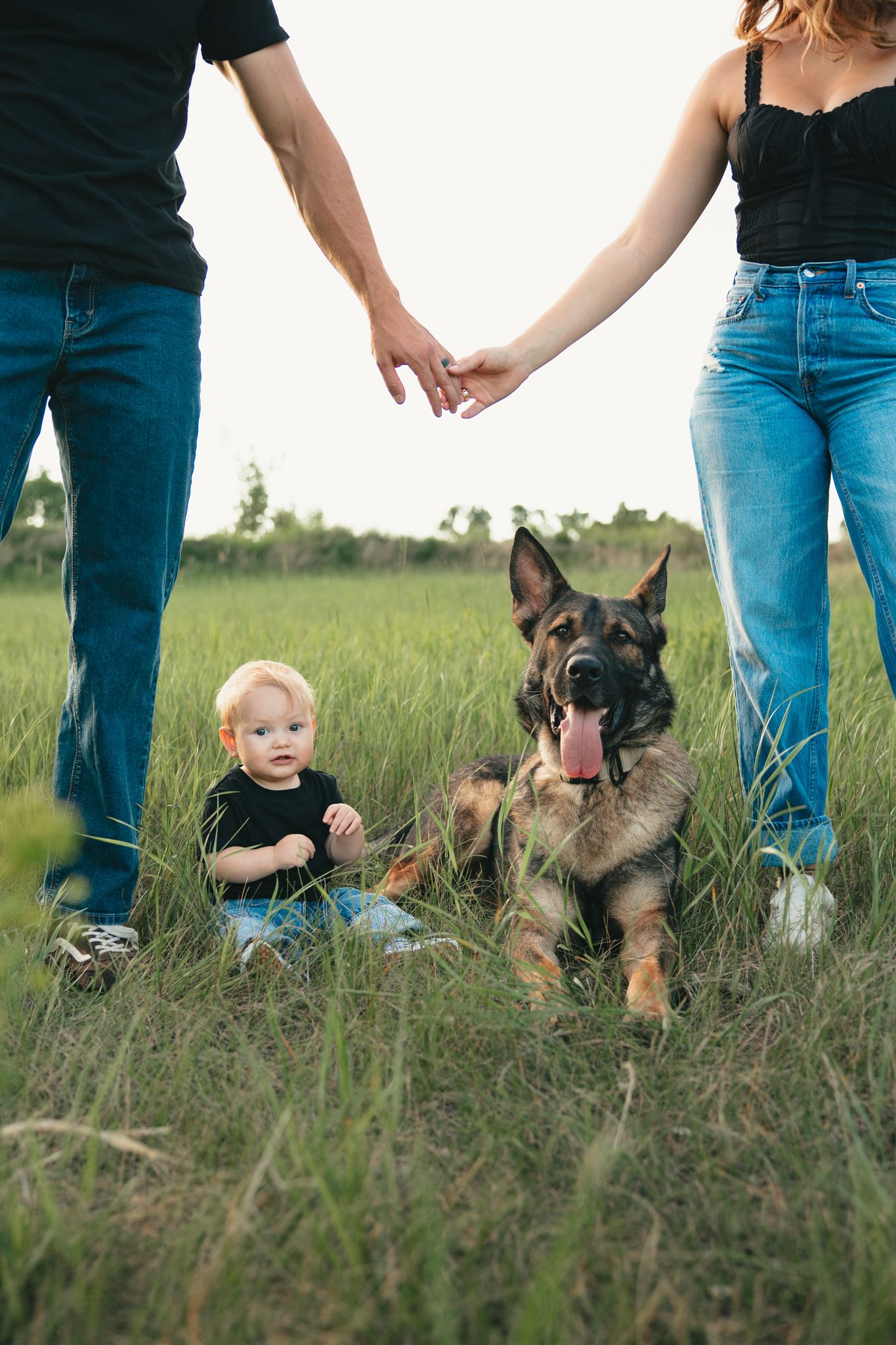Family with baby and German Shepherd dog sitting in green field, couple holding hands outdoors.