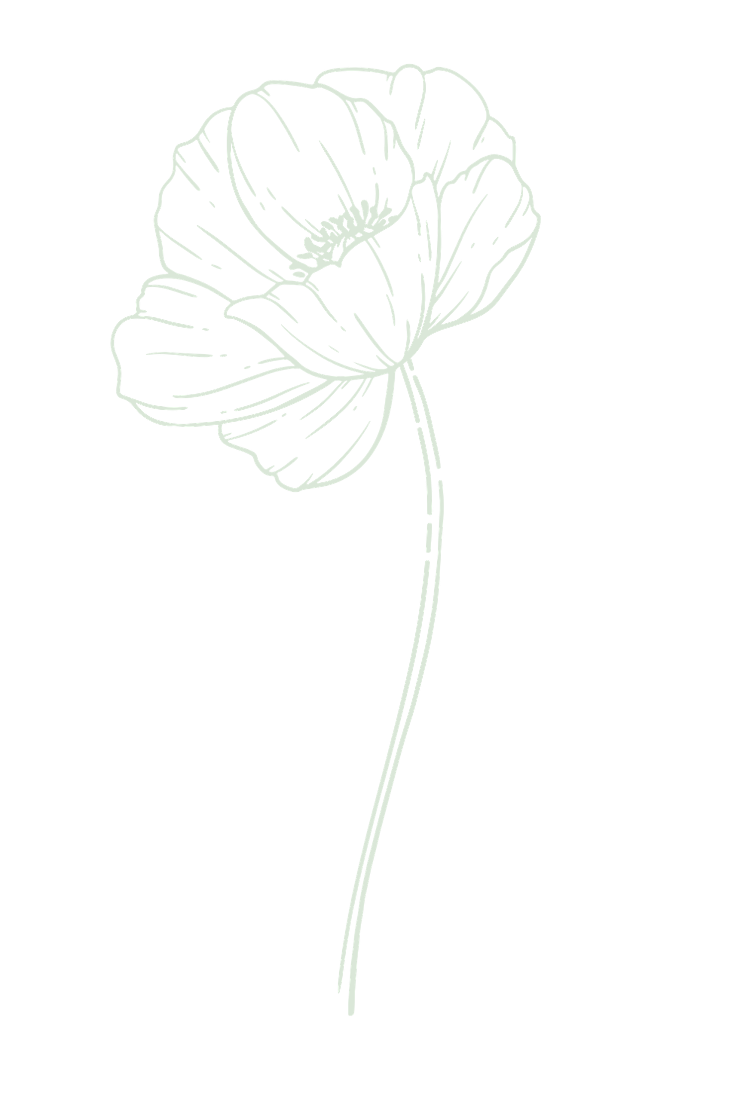 A delicate line drawing of a single poppy flower with a long stem rendered in pale green ink. Great Falls, Montana