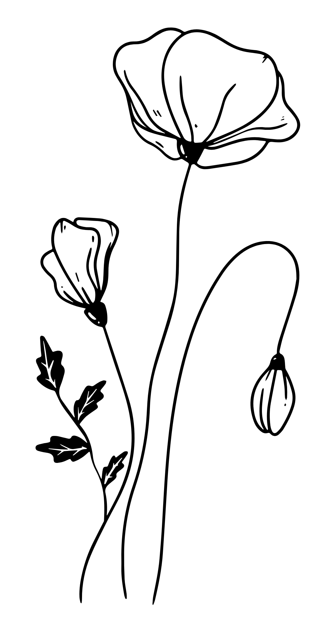 Simple line drawing of a poppy flower with leaves and buds in minimalist black and white style.