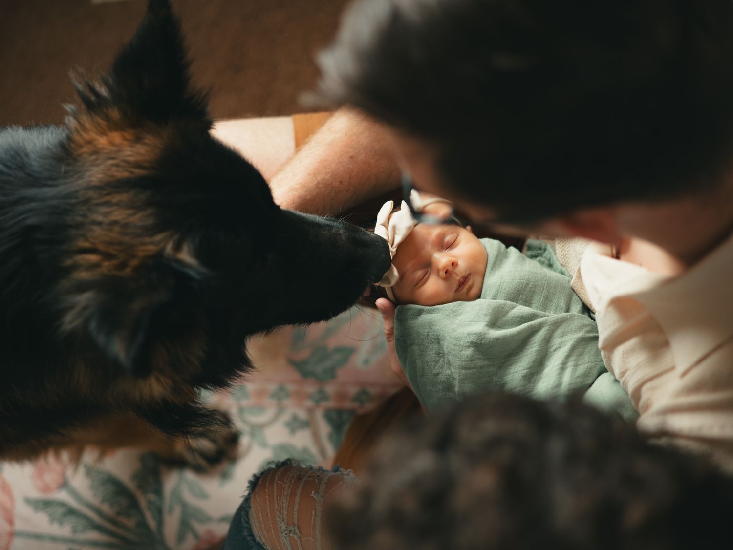 Newborn photos with dog, photography, Great Falls, Montana