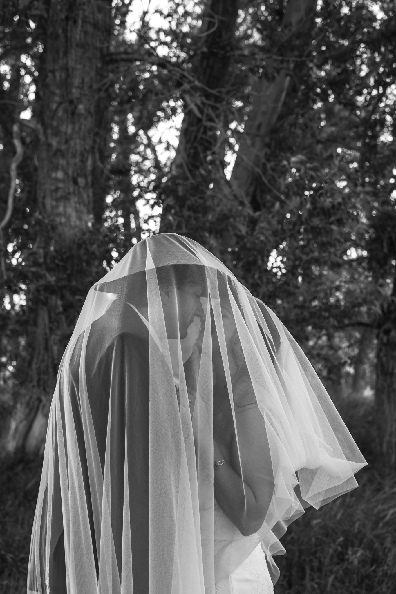 Black and white photo of a bride covered by a flowing wedding veil in a forest setting.