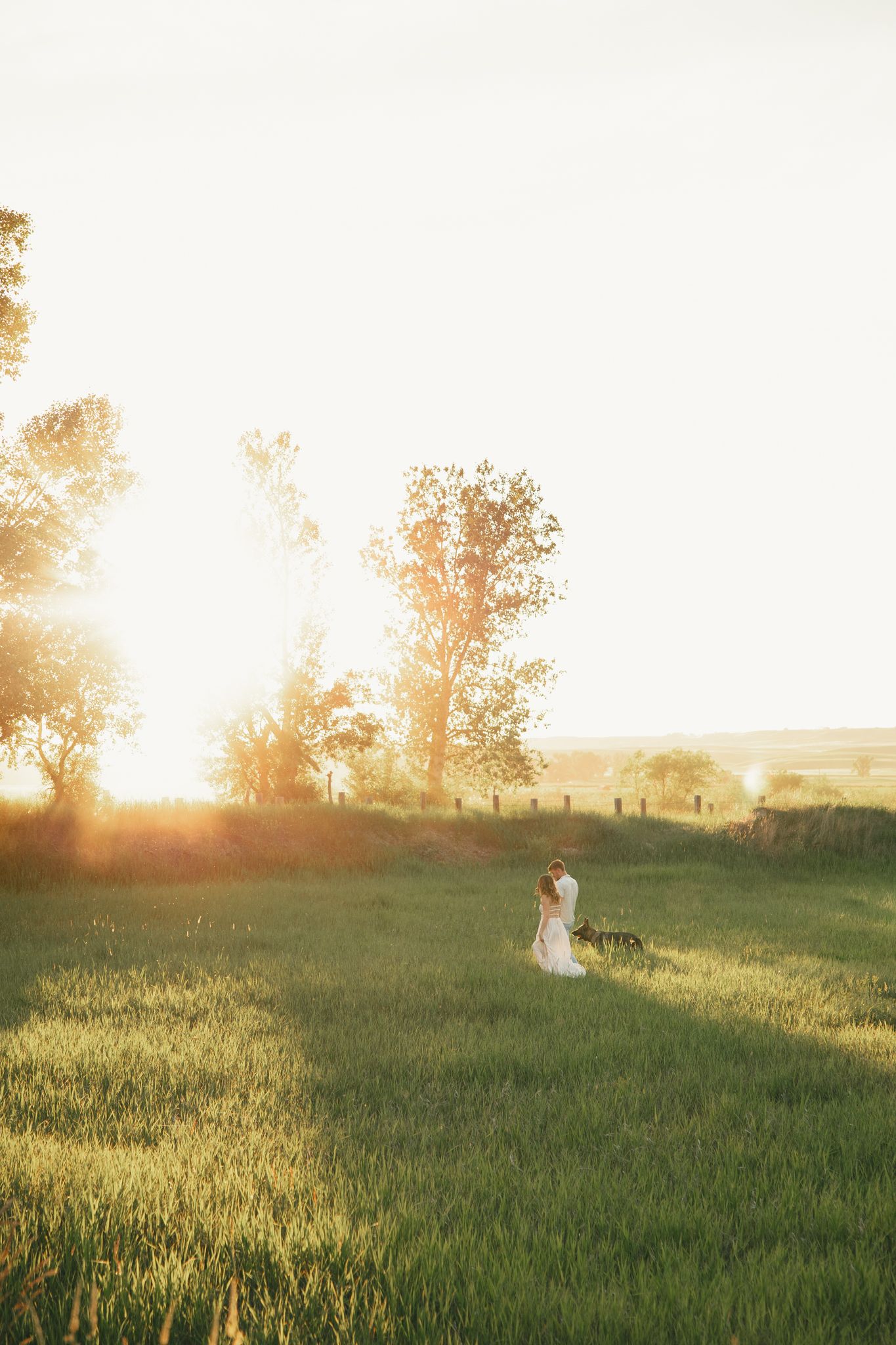 Bride and groom embracing in a sunlit green field at golden hour with trees in the background.