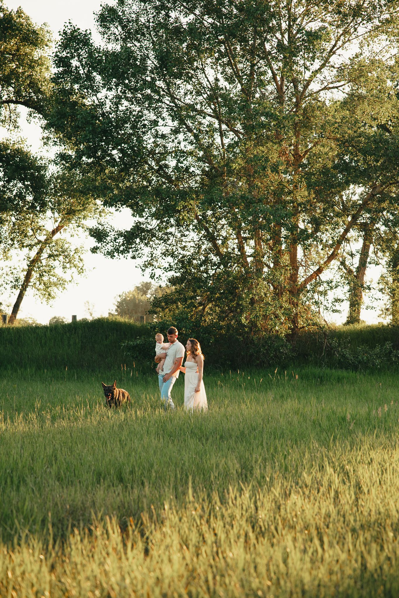 Couple with baby and dog walking in a sunlit green field surrounded by tall trees during golden hour.