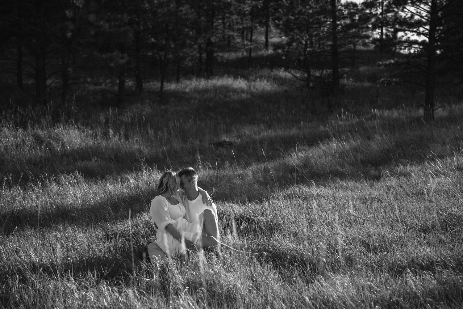 Black and white photo of a dog sitting in a grassy field surrounded by trees.