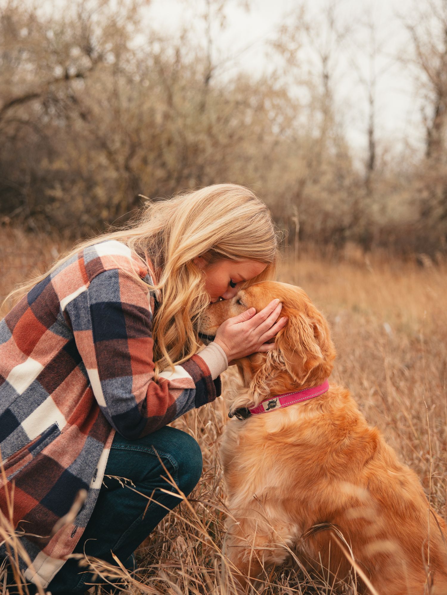 A person in a plaid shirt shares a tender moment with a golden retriever dog in a golden autumn field. photo, Great Falls, Montana