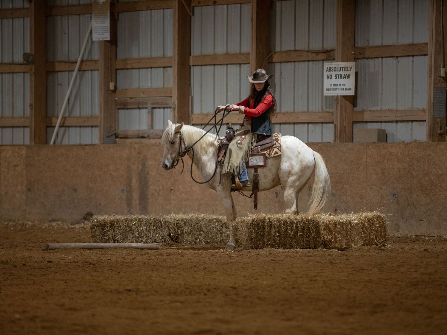 horse show photo