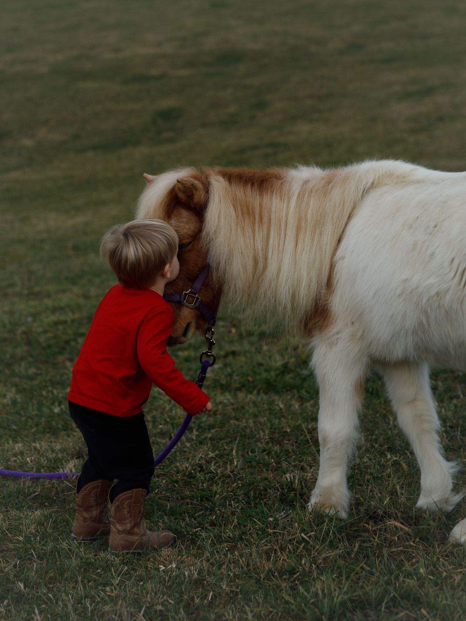 boy and pony