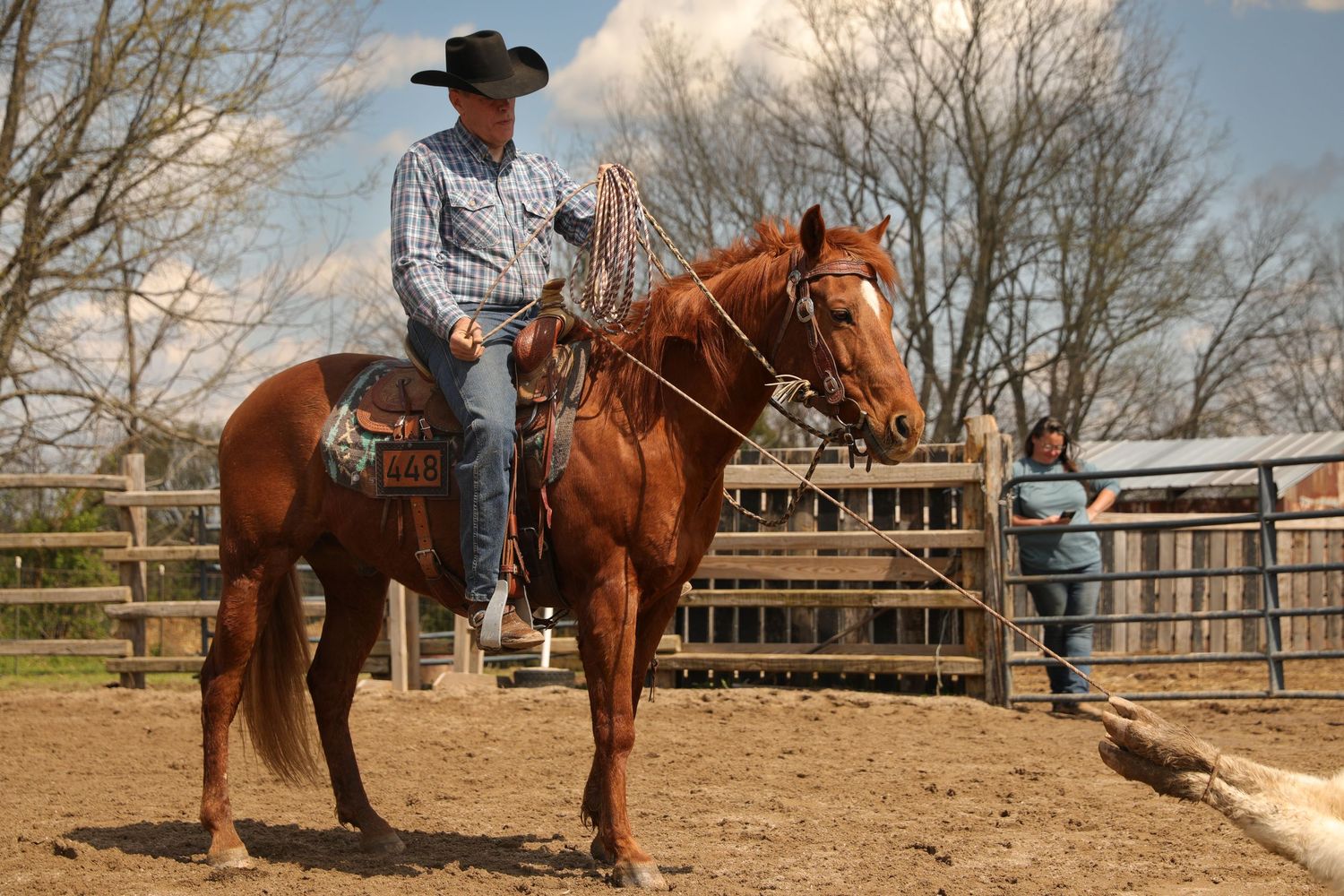 horse roping photo